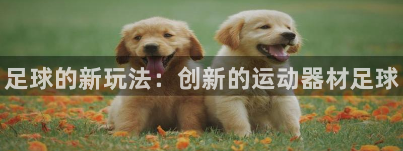 凯捷体育官方客服电话:足球的新玩法:创新的运动器材足球
