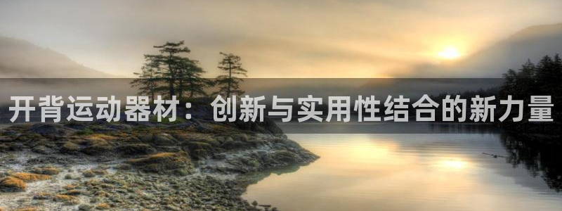 凯捷体育娱乐是那个系列的台子:开背运动器材:创新与实用性结合