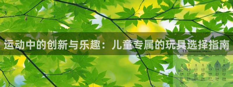凯捷体育平台APP:运动中的创新与乐趣:儿童专属的玩具选择指