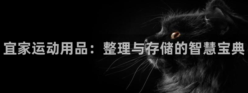 凯捷体育招商电话号码:宜家运动用品:整理与存储的智慧宝典