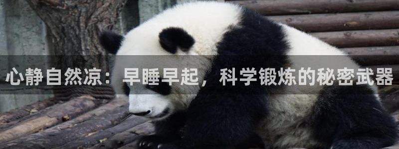 凯捷体育娱乐:心静自然凉:早睡早起,科学锻炼的秘密武器