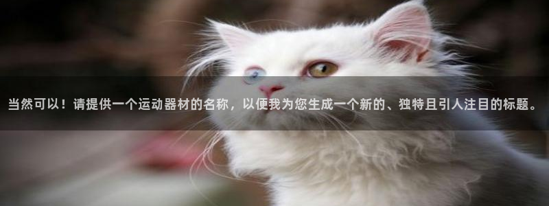 凯捷体育招商电话号码是多少号:当然可以!请提供一个运动器材的